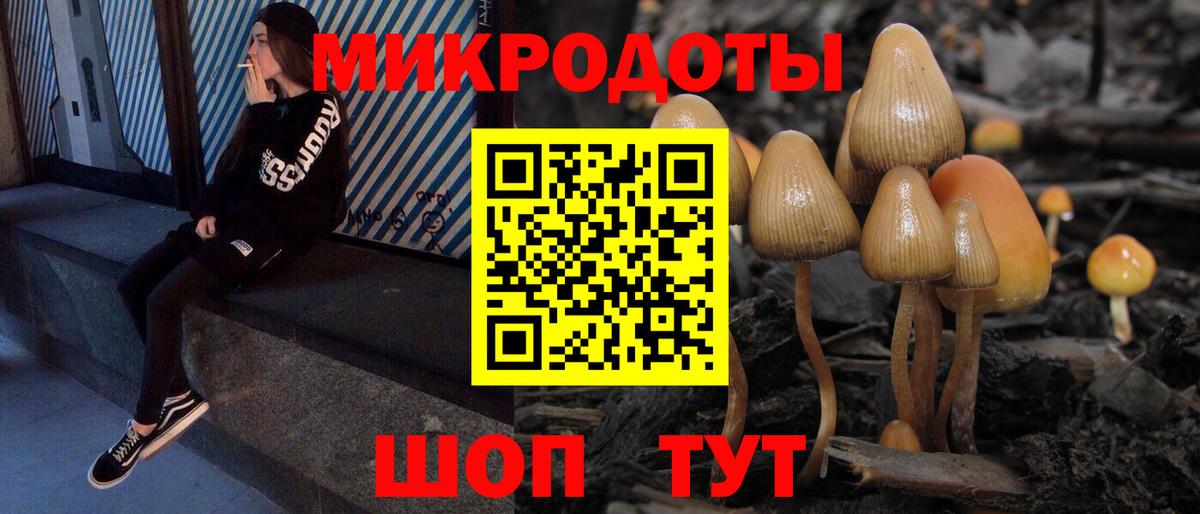 Псилоцибиновые грибы мицелий Светлоград