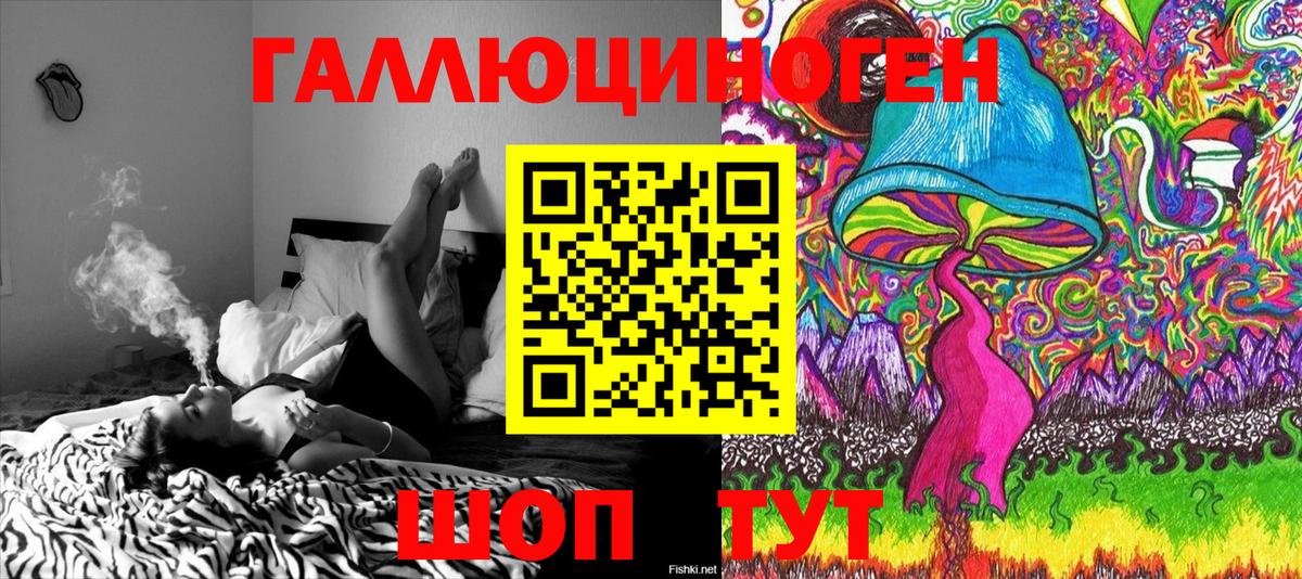 Псилоцибиновые грибы Psilocybe  Вход с VPN  Светлоград 